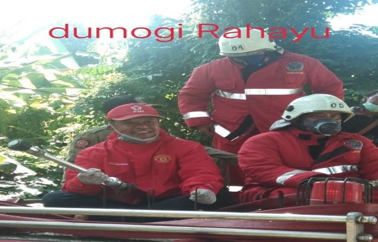 penyemprotan densipektan